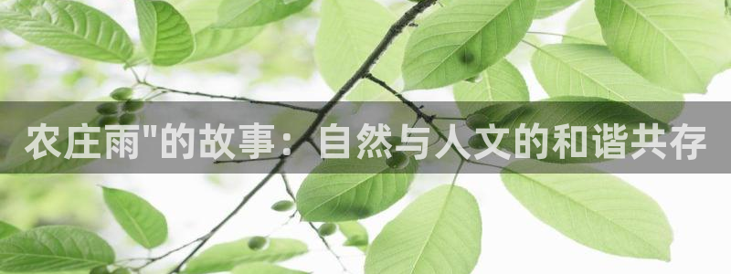 天辰娱乐官网