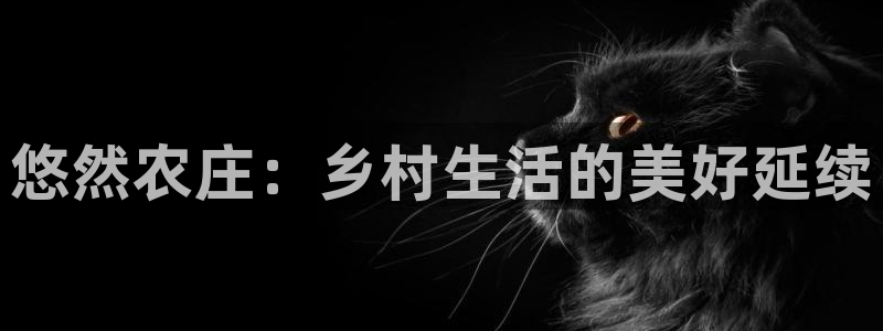 天辰娱乐总管年薪