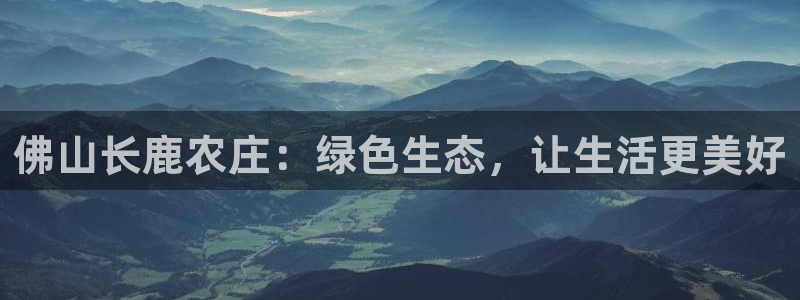 天辰娱乐白屏