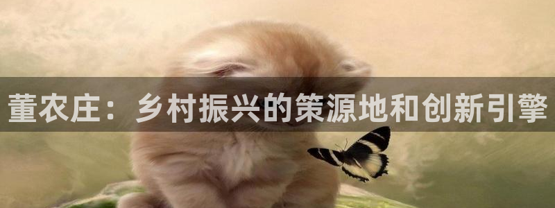 辰天娱乐