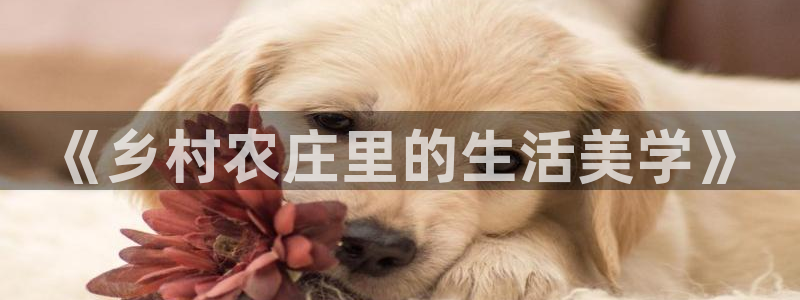 天辰娱乐地址