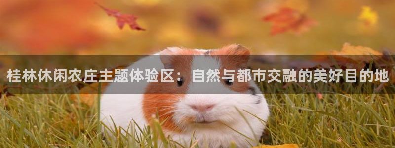 天辰娱乐输了