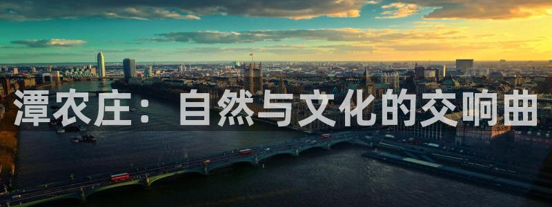 天辰娱乐鱼刺