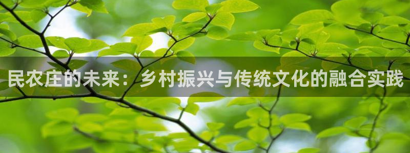 天辰娱乐彩票