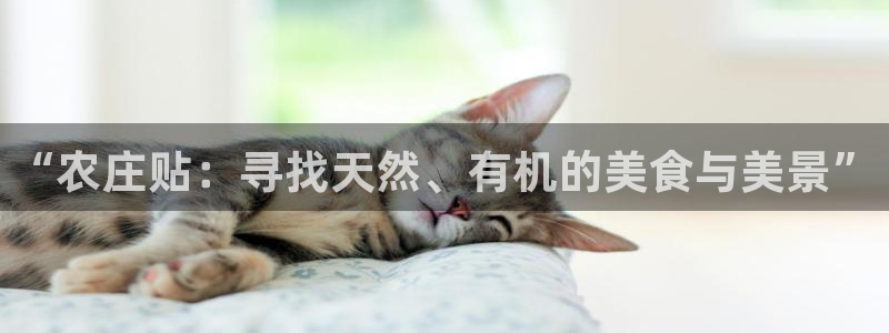 天辰娱乐怎么样