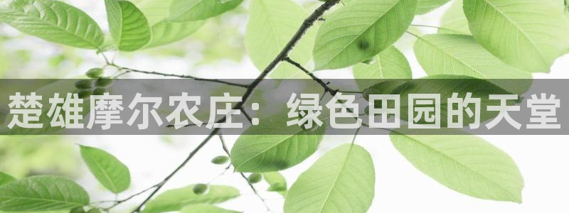 天辰娱乐84566