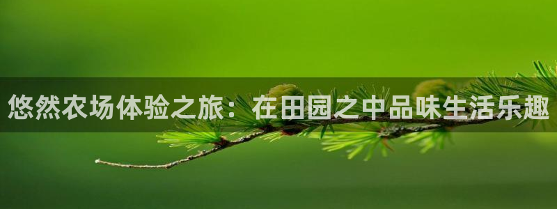 天辰娱乐地址