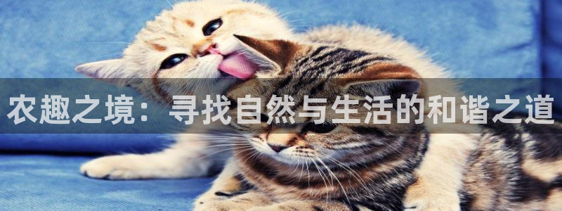 天辰娱乐链接
